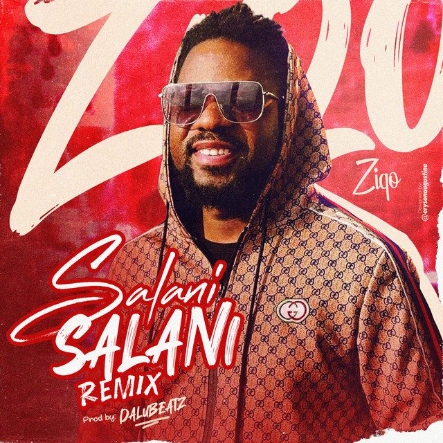 Ziqo - SALANI SALANI (Remix)