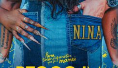 N.I.N.A – Prece Feat Pineapple StormTv, Terra, Baco Exu do Blues