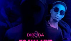 Diboba – To Malaike Feat Nelly Amazing