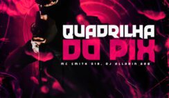 Smith013 – Quadrilha do Pix Feat Dj Aladin GDB