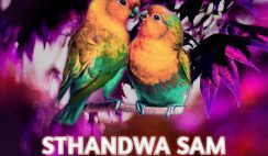 2Point1 – Sthandwa Sam Feat Bello M, Epic Dj, Seneath, X Morizo